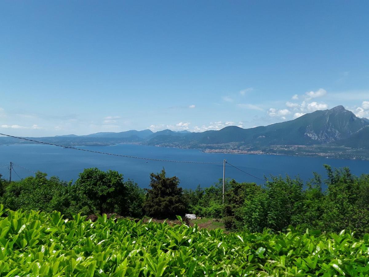 Residence Spighetta 2 トッリ・デル・ベーナコ エクステリア 写真